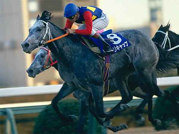 赛马娘小栗帽介绍，小栗帽原型是什么