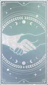 合作者特质 合作者特质