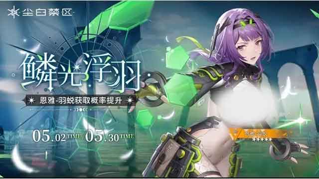 尘白禁区恩雅羽蜕怎么配队？