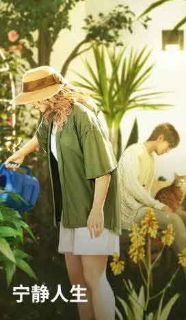 宁静人生